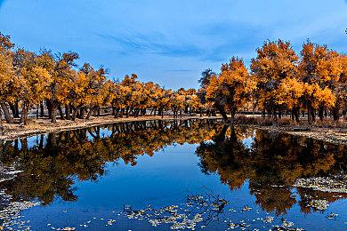 《无主之地4》新补丁引热议 团队承诺持续调整平衡性